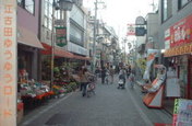 練馬区 江古田